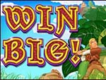 Win Big Video Slot Game